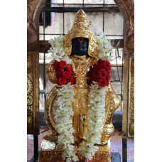Ayul Abhivrutti Hanuman Puja